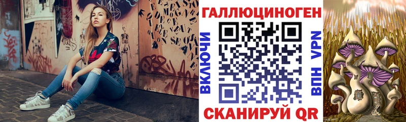кракен зеркало  Слюдянка  Галлюциногенные грибы MAGIC MUSHROOMS 
